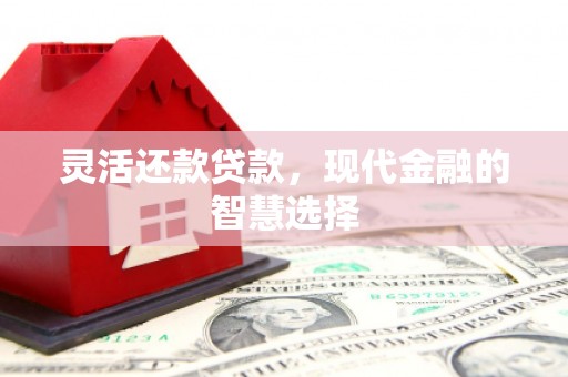 镇江灵活还款贷款，现代金融的智慧选择
