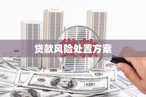 镇江贷款风险处置方案