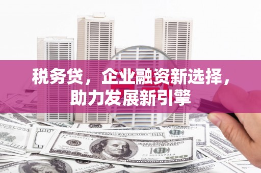 镇江税务贷，企业融资新选择，助力发展新引擎