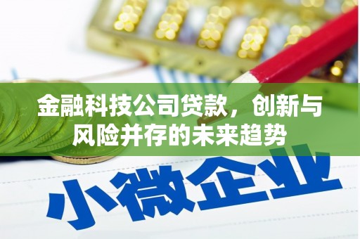 镇江金融科技公司贷款，创新与风险并存的未来趋势
