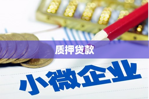 镇江质押贷款