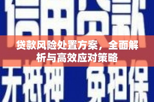 镇江贷款风险处置方案，全面解析与高效应对策略