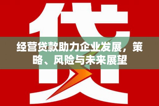 镇江经营贷款助力企业发展，策略、风险与未来展望