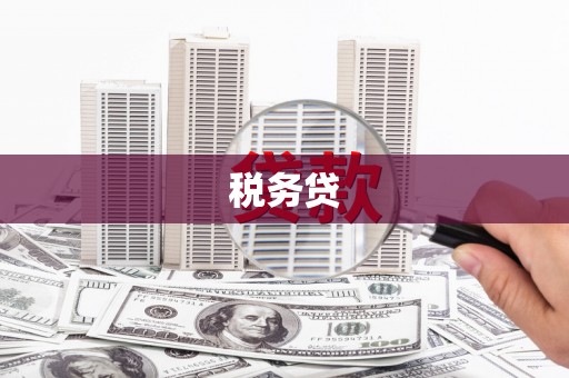 镇江税务贷