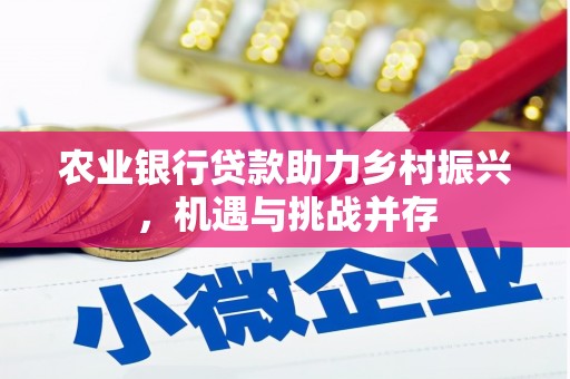 镇江农业银行贷款助力乡村振兴，机遇与挑战并存