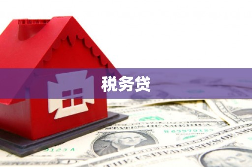 镇江税务贷