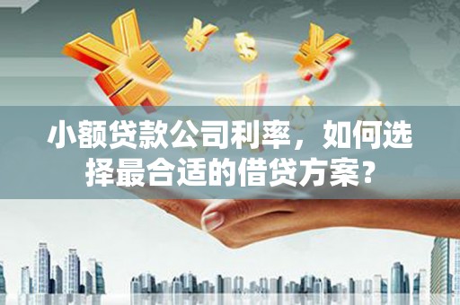 镇江小额贷款公司利率，如何选择最合适的借贷方案？