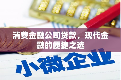 镇江消费金融公司贷款，现代金融的便捷之选