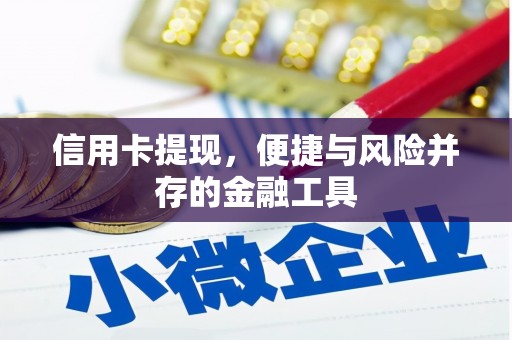 镇江信用卡提现，便捷与风险并存的金融工具