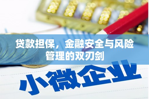 镇江贷款担保，金融安全与风险管理的双刃剑