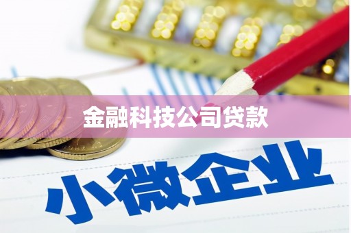 镇江金融科技公司贷款