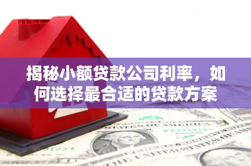 镇江揭秘小额贷款公司利率，如何选择最合适的贷款方案