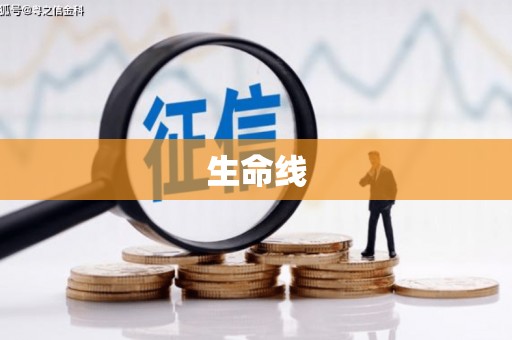 镇江生命线