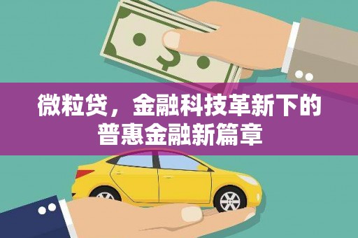镇江微粒贷，金融科技革新下的普惠金融新篇章