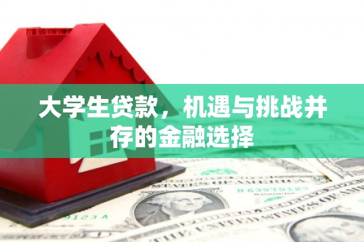 镇江大学生贷款，机遇与挑战并存的金融选择