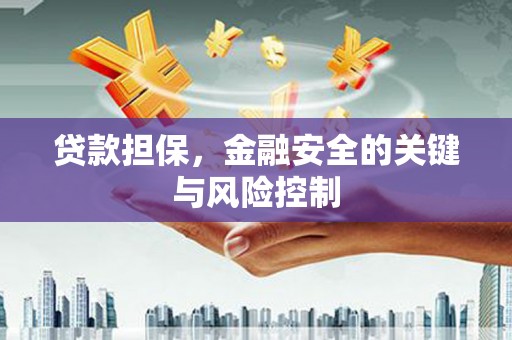 镇江贷款担保，金融安全的关键与风险控制