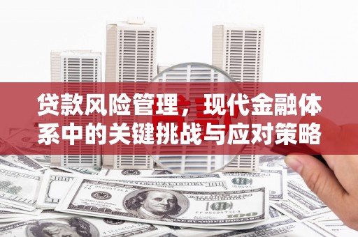 镇江贷款风险管理，现代金融体系中的关键挑战与应对策略