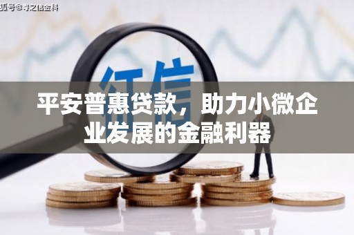镇江平安普惠贷款，助力小微企业发展的金融利器