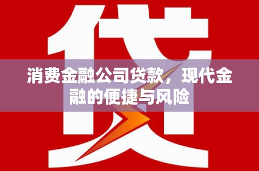 镇江消费金融公司贷款，现代金融的便捷与风险