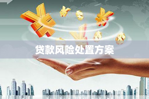 镇江贷款风险处置方案
